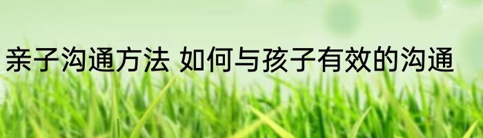 亲子沟通方法 如何与孩子有效的沟通