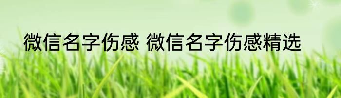 微信名字伤感 微信名字伤感精选
