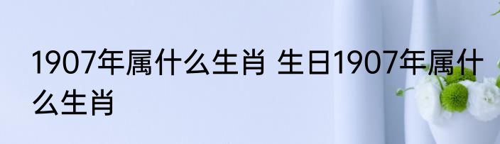 1907年属什么生肖 生日1907年属什么生肖