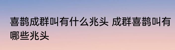 喜鹊成群叫有什么兆头 成群喜鹊叫有哪些兆头