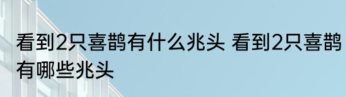 看到2只喜鹊有什么兆头 看到2只喜鹊有哪些兆头