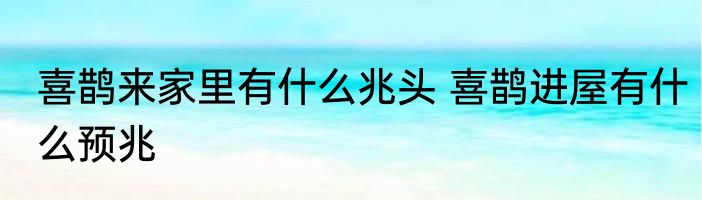 喜鹊来家里有什么兆头 喜鹊进屋有什么预兆