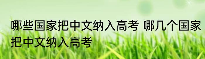 哪些国家把中文纳入高考 哪几个国家把中文纳入高考