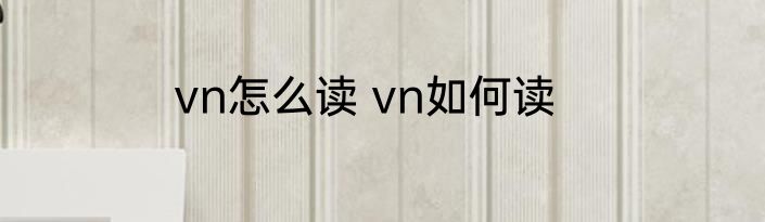 vn怎么读 vn如何读