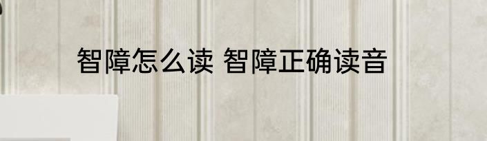 智障怎么读 智障正确读音