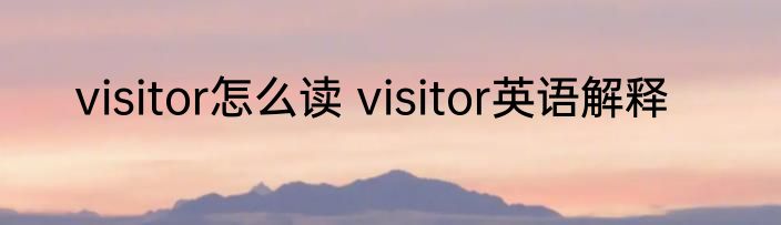 visitor怎么读 visitor英语解释