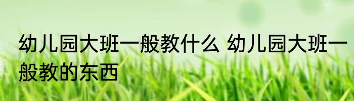 幼儿园大班一般教什么 幼儿园大班一般教的东西