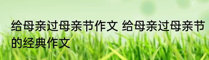 给母亲过母亲节作文 给母亲过母亲节的经典作文