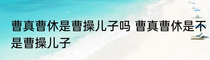 曹真曹休是曹操儿子吗 曹真曹休是不是曹操儿子
