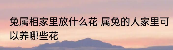 兔属相家里放什么花 属兔的人家里可以养哪些花