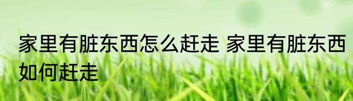 家里有脏东西怎么赶走 家里有脏东西如何赶走