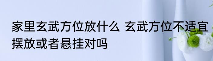 家里玄武方位放什么 玄武方位不适宜摆放或者悬挂对吗