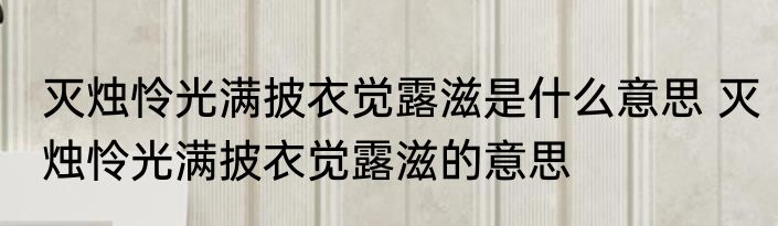 灭烛怜光满披衣觉露滋是什么意思 灭烛怜光满披衣觉露滋的意思