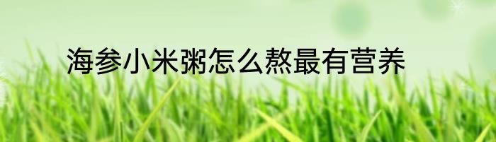海参小米粥怎么熬最有营养