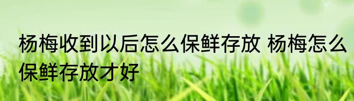 杨梅收到以后怎么保鲜存放 杨梅怎么保鲜存放才好