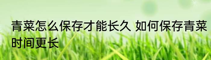 青菜怎么保存才能长久 如何保存青菜时间更长
