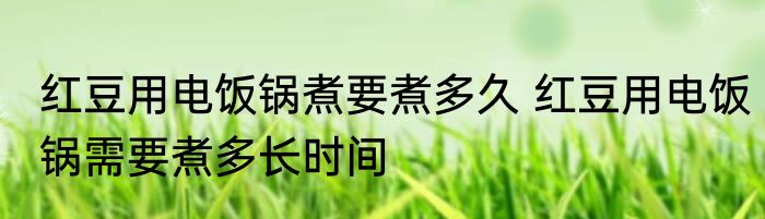 红豆用电饭锅煮要煮多久 红豆用电饭锅需要煮多长时间