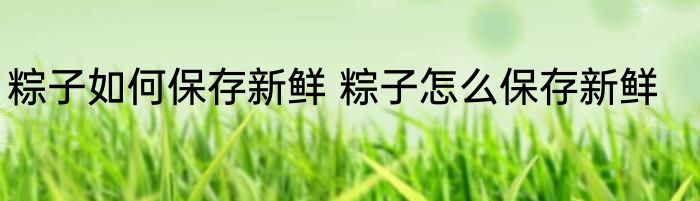 粽子如何保存新鲜 粽子怎么保存新鲜