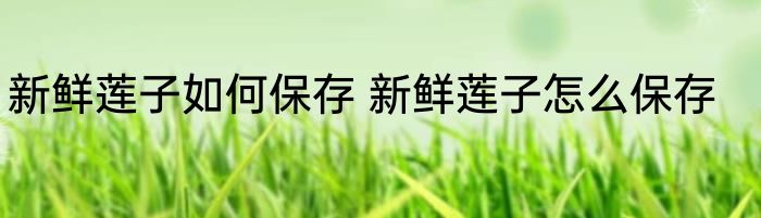 新鲜莲子如何保存 新鲜莲子怎么保存
