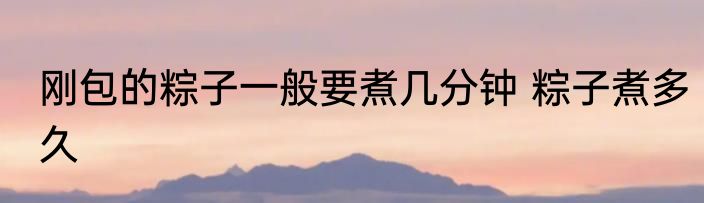 刚包的粽子一般要煮几分钟 粽子煮多久
