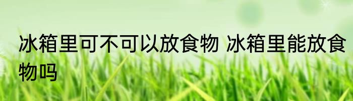 冰箱里可不可以放食物 冰箱里能放食物吗