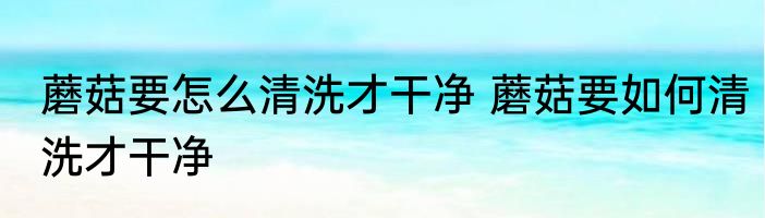 蘑菇要怎么清洗才干净 蘑菇要如何清洗才干净