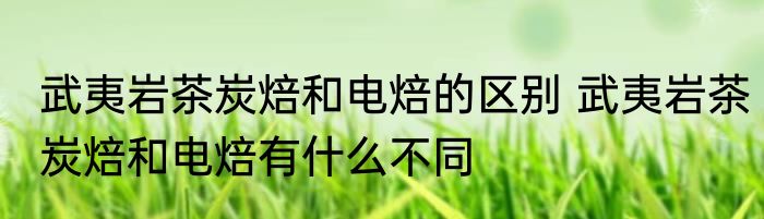 武夷岩茶炭焙和电焙的区别 武夷岩茶炭焙和电焙有什么不同