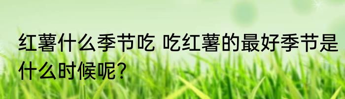 红薯什么季节吃 吃红薯的最好季节是什么时候呢?