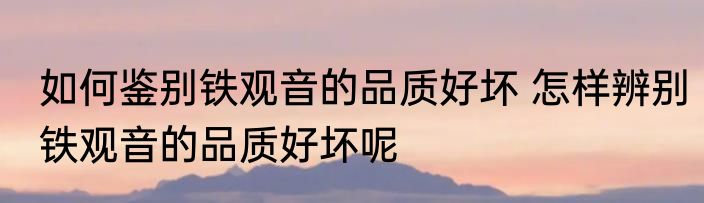如何鉴别铁观音的品质好坏 怎样辨别铁观音的品质好坏呢