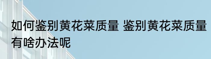 如何鉴别黄花菜质量 鉴别黄花菜质量有啥办法呢