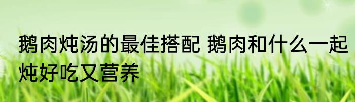 鹅肉炖汤的最佳搭配 鹅肉和什么一起炖好吃又营养