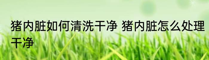猪内脏如何清洗干净 猪内脏怎么处理干净