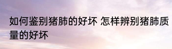 如何鉴别猪肺的好坏 怎样辨别猪肺质量的好坏