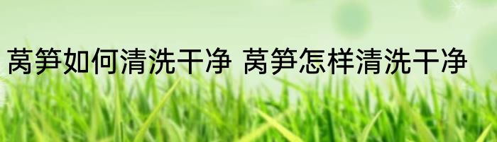 莴笋如何清洗干净 莴笋怎样清洗干净
