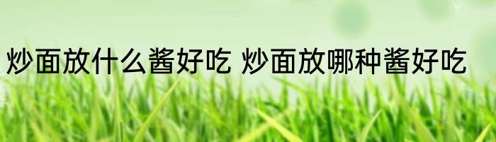 炒面放什么酱好吃 炒面放哪种酱好吃