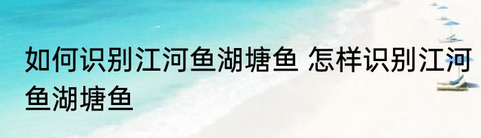 如何识别江河鱼湖塘鱼 怎样识别江河鱼湖塘鱼