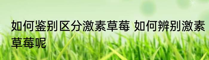如何鉴别区分激素草莓 如何辨别激素草莓呢