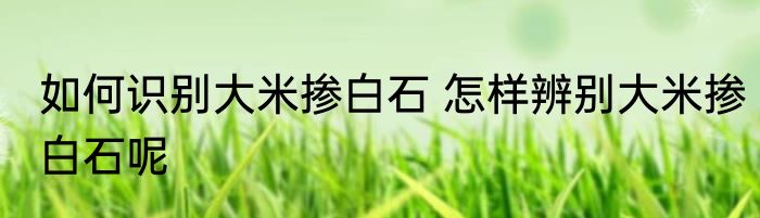 如何识别大米掺白石 怎样辨别大米掺白石呢