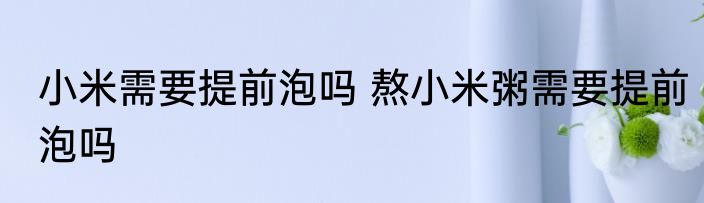 小米需要提前泡吗 熬小米粥需要提前泡吗