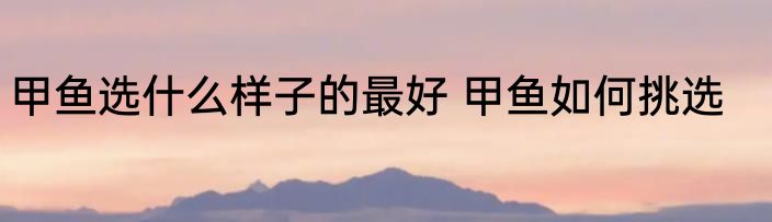 甲鱼选什么样子的最好 甲鱼如何挑选