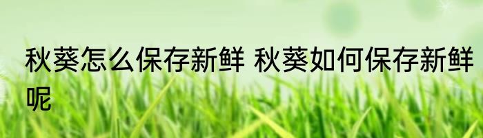 秋葵怎么保存新鲜 秋葵如何保存新鲜呢