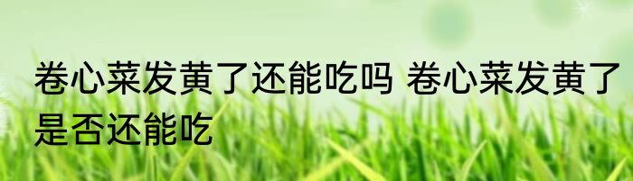 卷心菜发黄了还能吃吗 卷心菜发黄了是否还能吃