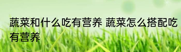 蔬菜和什么吃有营养 蔬菜怎么搭配吃有营养