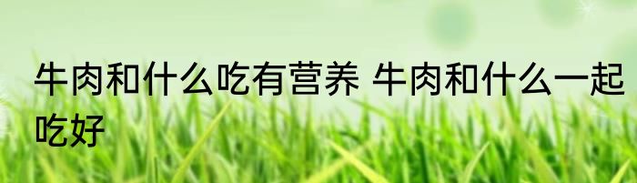 牛肉和什么吃有营养 牛肉和什么一起吃好