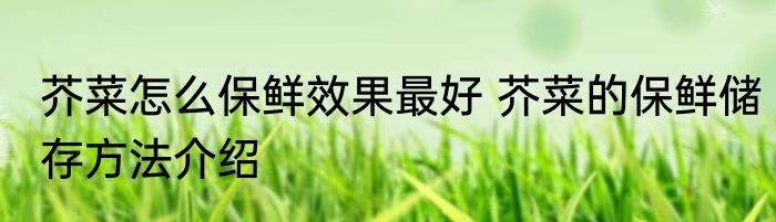 芥菜怎么保鲜效果最好 芥菜的保鲜储存方法介绍