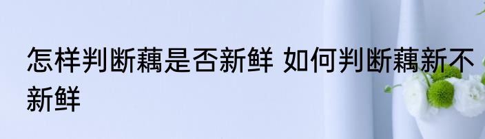 怎样判断藕是否新鲜 如何判断藕新不新鲜