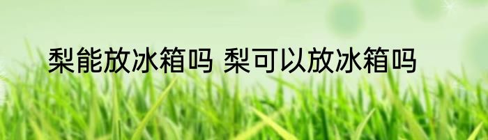梨能放冰箱吗 梨可以放冰箱吗