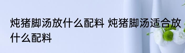 炖猪脚汤放什么配料 炖猪脚汤适合放什么配料