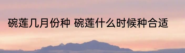 碗莲几月份种 碗莲什么时候种合适