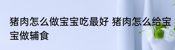 猪肉怎么做宝宝吃最好 猪肉怎么给宝宝做辅食